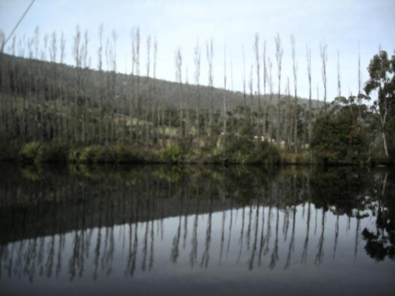 Port Huon Cottages Exteriör bild
